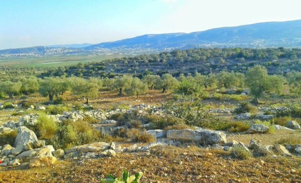 مِسِلْيَة | موسوعة القرى الفلسطينية