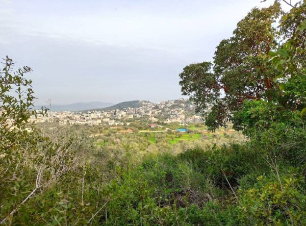 مِسِلْيَة | موسوعة القرى الفلسطينية