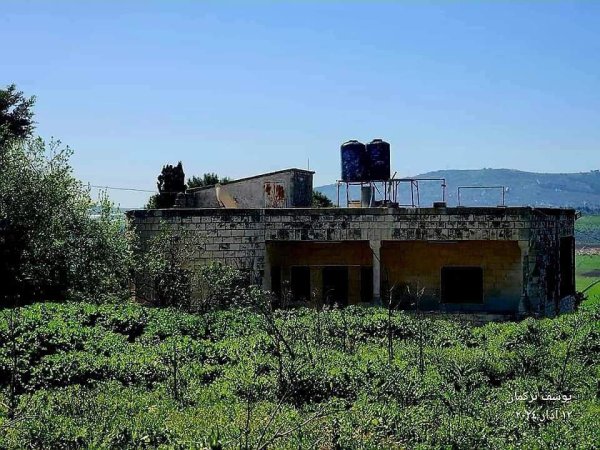 تِلْفِيت/ تلبيوت | موسوعة القرى الفلسطينية