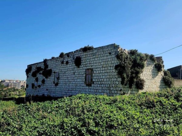 تِلْفِيت/ تلبيوت | موسوعة القرى الفلسطينية