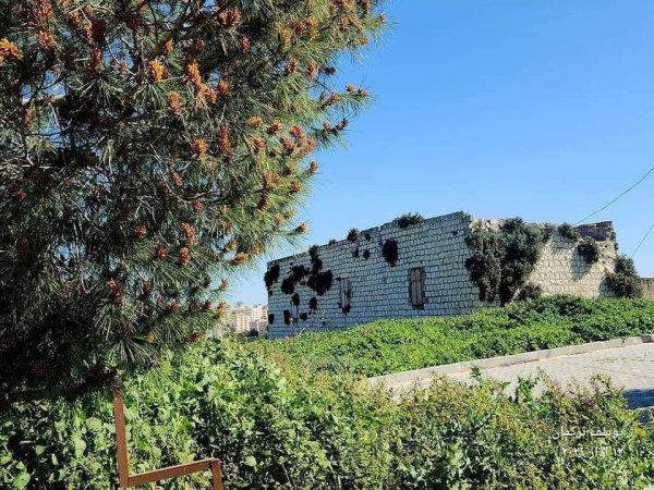 تِلْفِيت/ تلبيوت | موسوعة القرى الفلسطينية