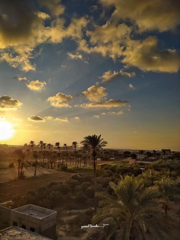 مدينة دَيْر البَلَحْ/ المحافظة الوسطى | موسوعة القرى الفلسطينية