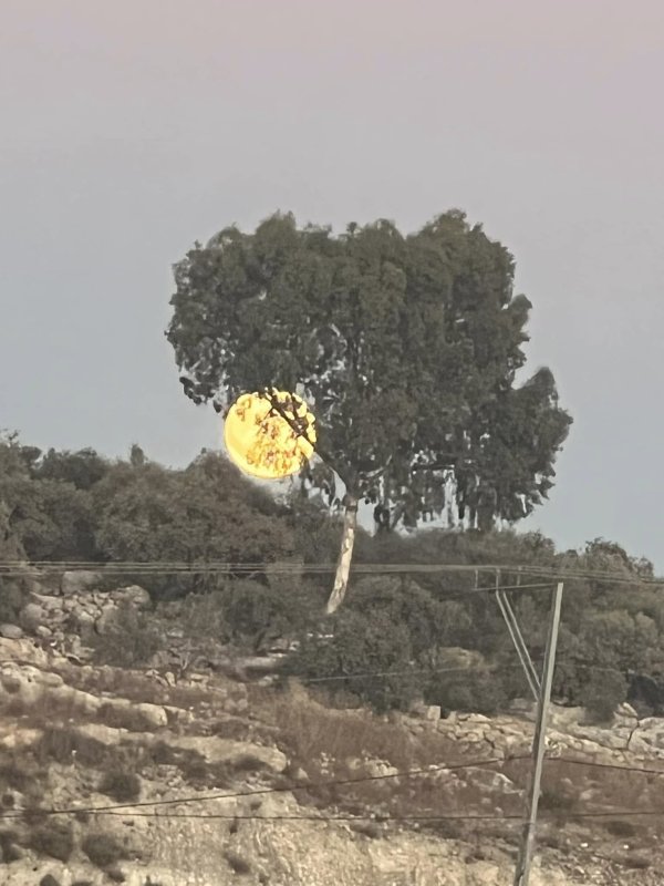 باقة الشرقية / من قرى الشعراوية | موسوعة القرى الفلسطينية