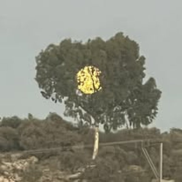 باقة الشرقية / من قرى الشعراوية | موسوعة القرى الفلسطينية