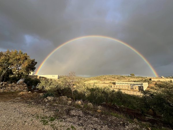 باقة الشرقية / من قرى الشعراوية | موسوعة القرى الفلسطينية