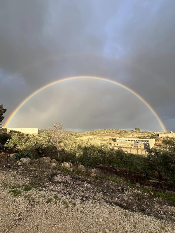 باقة الشرقية / من قرى الشعراوية | موسوعة القرى الفلسطينية