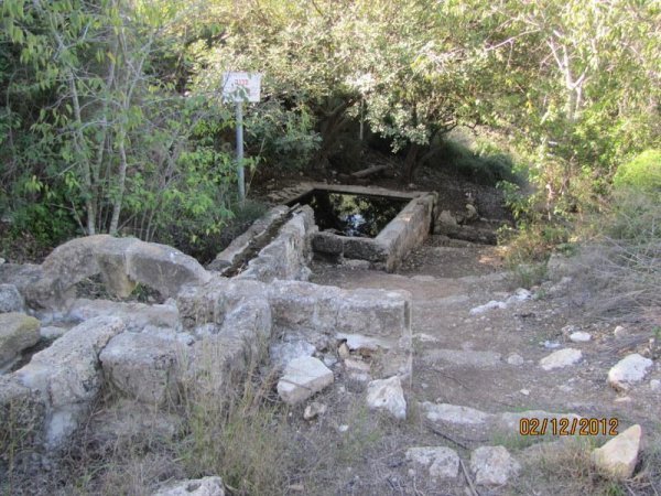 عين غزال / قرى جبل الكرمل | موسوعة القرى الفلسطينية