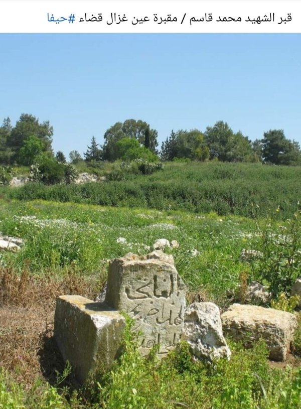 عين غزال / قرى جبل الكرمل | موسوعة القرى الفلسطينية