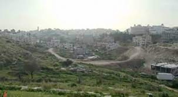 زرزير/الزرازير | موسوعة القرى الفلسطينية