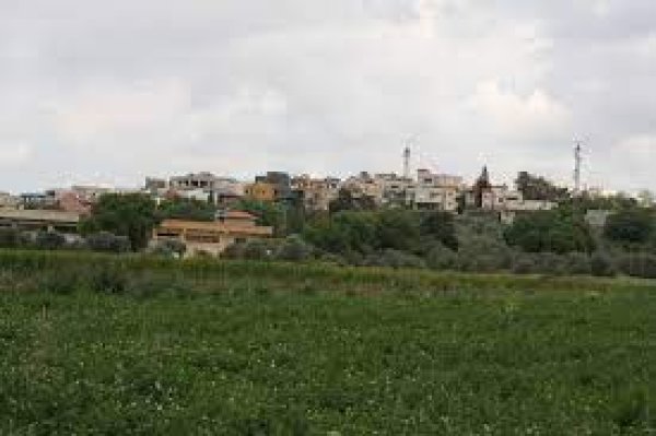 زرزير/الزرازير | موسوعة القرى الفلسطينية