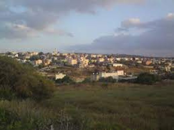 زرزير/الزرازير | موسوعة القرى الفلسطينية