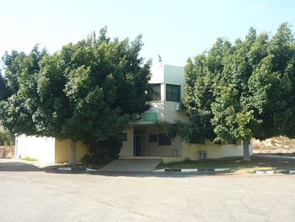 زرزير/الزرازير | موسوعة القرى الفلسطينية