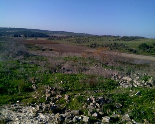 أم الشُّوفْ/ قرى الروحة | موسوعة القرى الفلسطينية