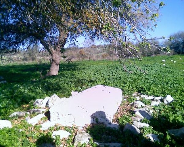 أم الشُّوفْ/ قرى الروحة | موسوعة القرى الفلسطينية