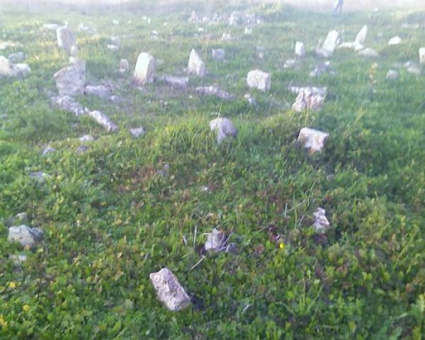 أم الشُّوفْ/ قرى الروحة | موسوعة القرى الفلسطينية