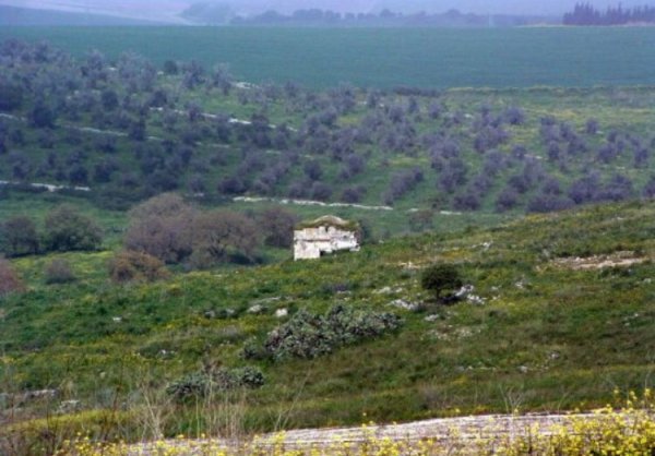 أم الشُّوفْ/ قرى الروحة | موسوعة القرى الفلسطينية