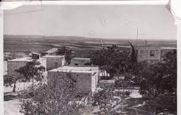 كويكات | موسوعة القرى الفلسطينية