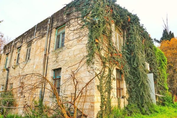 أم العمد | موسوعة القرى الفلسطينية