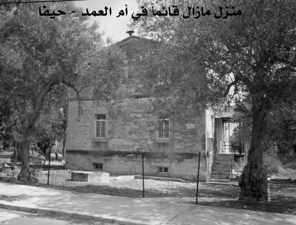 أم العمد | موسوعة القرى الفلسطينية