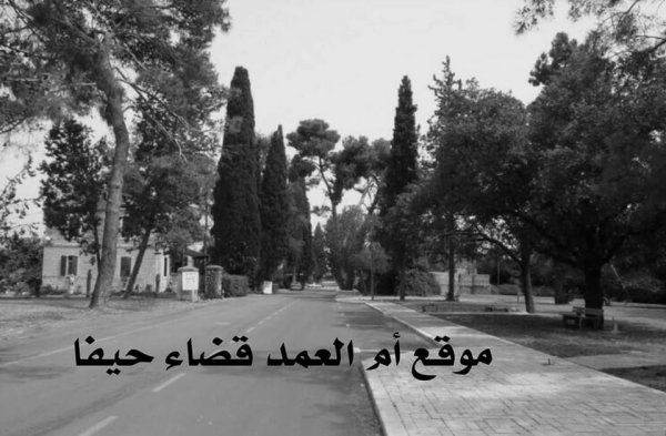 أم العمد | موسوعة القرى الفلسطينية