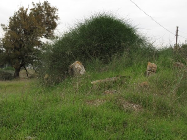 عرب الضمايرة | موسوعة القرى الفلسطينية