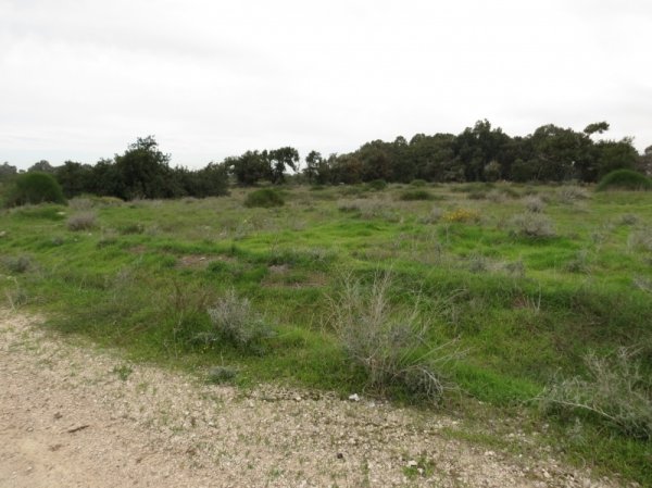 عرب الضمايرة | موسوعة القرى الفلسطينية