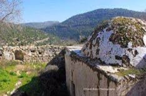 دير الشيخ / من قرى عرقوب | موسوعة القرى الفلسطينية