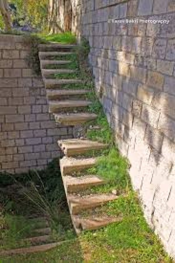 دير الشيخ / من قرى عرقوب | موسوعة القرى الفلسطينية