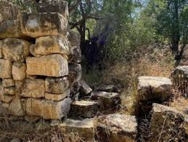 دير الشيخ / من قرى عرقوب | موسوعة القرى الفلسطينية