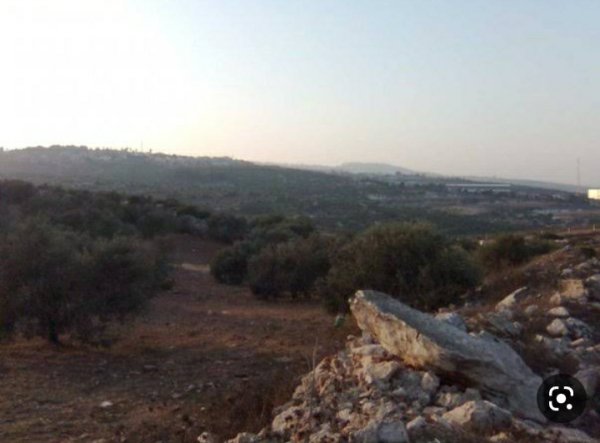 نَزْلَة الشَيْخ زَيْد/ نَزْلَة زَيْد | موسوعة القرى الفلسطينية