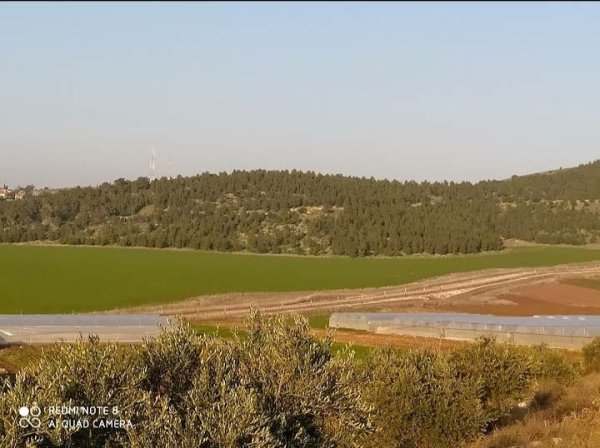 عَرَّانَة | موسوعة القرى الفلسطينية