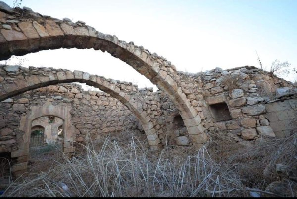 أمُّ التُوْت | موسوعة القرى الفلسطينية