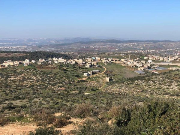 أمُّ التُوْت | موسوعة القرى الفلسطينية