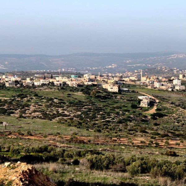 أمُّ التُوْت | موسوعة القرى الفلسطينية