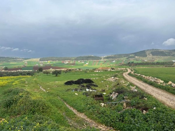 الكُفَيْر | موسوعة القرى الفلسطينية