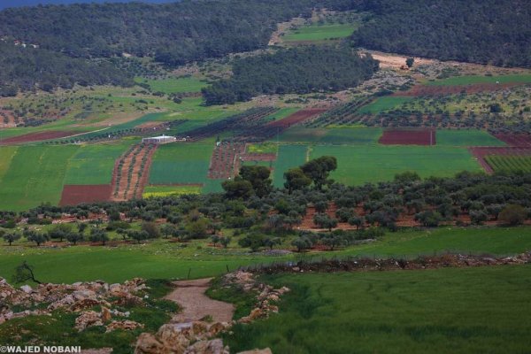 الكُفَيْر | موسوعة القرى الفلسطينية