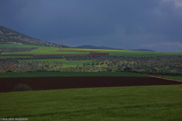 الكُفَيْر | موسوعة القرى الفلسطينية