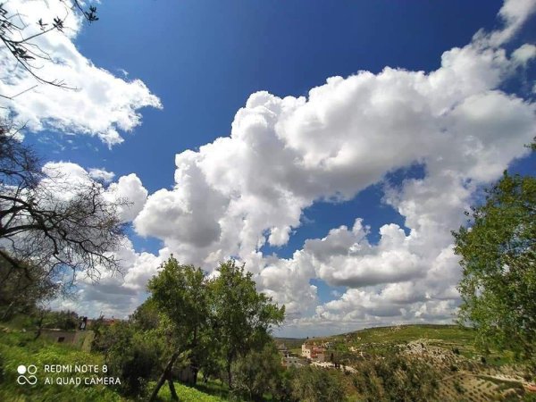 الزاوِيَة | موسوعة القرى الفلسطينية