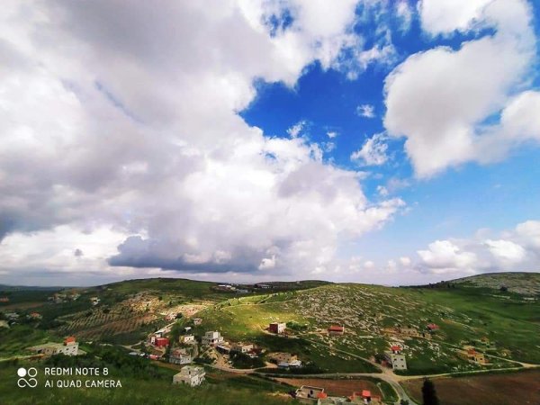 الزاوِيَة | موسوعة القرى الفلسطينية