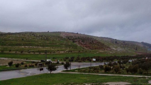 المَنْصورَة | موسوعة القرى الفلسطينية