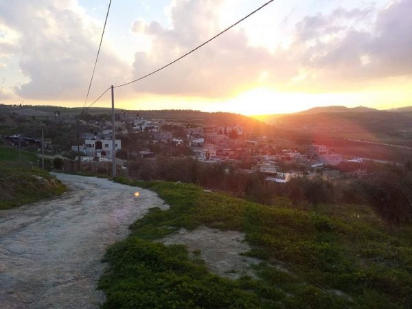 المَنْصورَة | موسوعة القرى الفلسطينية