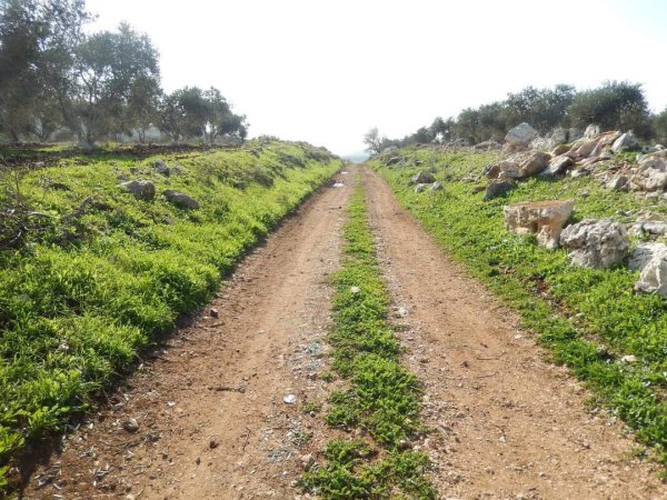 المَنْصورَة | موسوعة القرى الفلسطينية