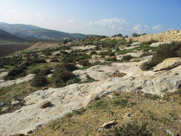 المَنْصورَة | موسوعة القرى الفلسطينية