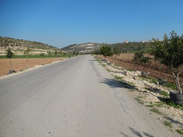 المَنْصورَة | موسوعة القرى الفلسطينية