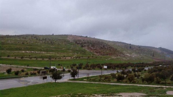 المَنْصورَة | موسوعة القرى الفلسطينية