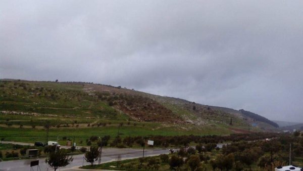 المَنْصورَة | موسوعة القرى الفلسطينية