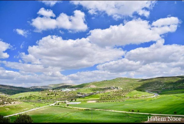 المَنْصورَة | موسوعة القرى الفلسطينية