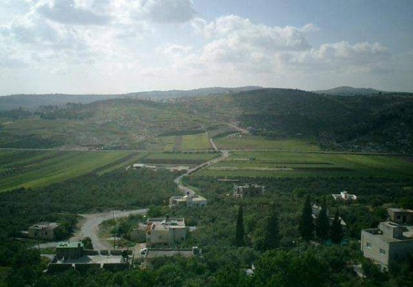 تِلْفِيت/ تلبيوت | موسوعة القرى الفلسطينية