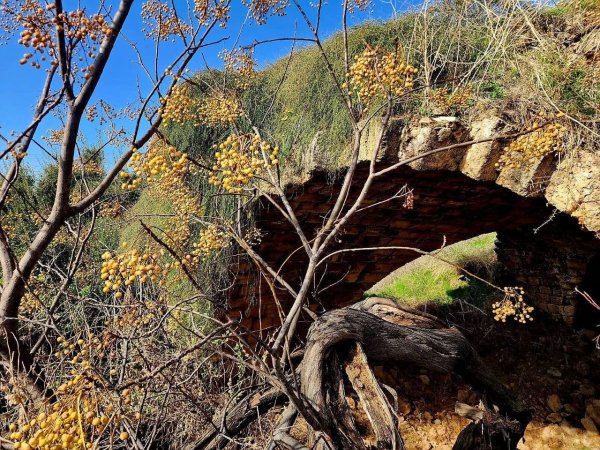السُّميرية | موسوعة القرى الفلسطينية