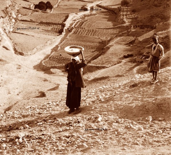 سلوان / حامية القدس | موسوعة القرى الفلسطينية